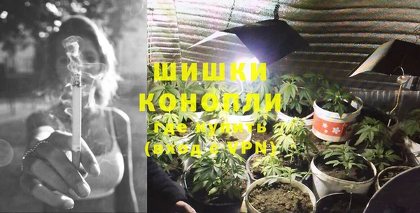ГАЛЛЮЦИНОГЕННЫЕ ГРИБЫ Абаза