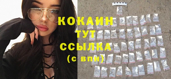 ГАЛЛЮЦИНОГЕННЫЕ ГРИБЫ Абаза