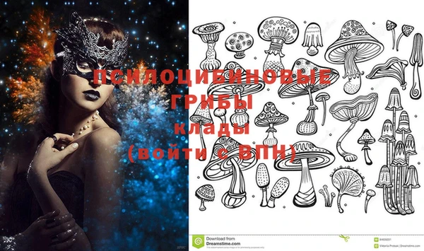 ГАЛЛЮЦИНОГЕННЫЕ ГРИБЫ Абаза