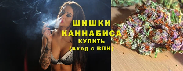 ГАЛЛЮЦИНОГЕННЫЕ ГРИБЫ Абаза